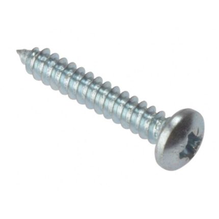 PAN HEAD SELF TAPING SCREWS 1"X10MM