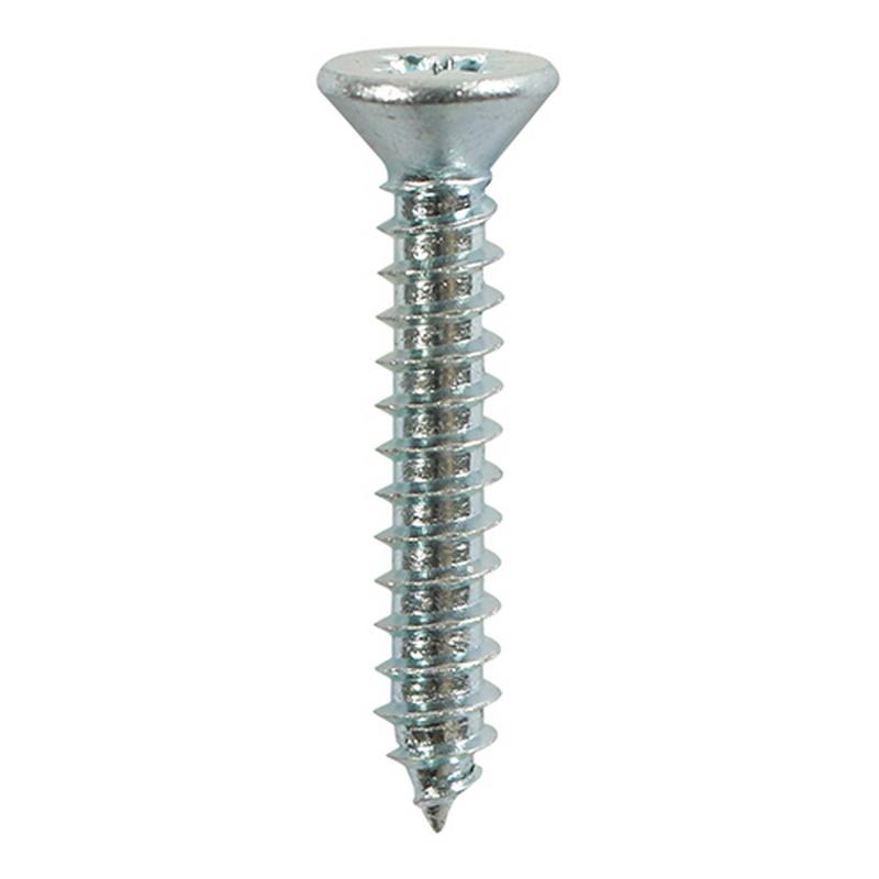 1 TAPING SCREW