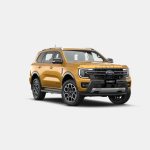 Ford Everest RWS