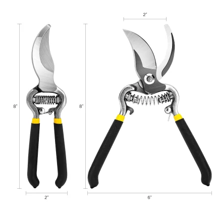 PRESCOTT PRUNING