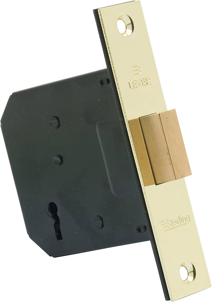 61wIRtHV+dL._AC_UF894,1000_QL80_ sterling mortice lock